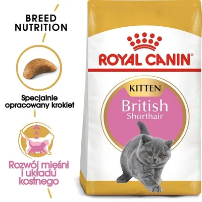 Produktbild von Royal Canin Feline British Shorthair Kitten - 2 kg