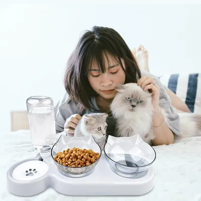 Produktbild von 3-in-1 Futterstation für Katzen, erhöht, 15 Grad neigbare Futterschale für Katzen, Katzenfutterset mit Wasserfontänen, erhöhte Katzenfutterstation, Katzenfutterstation, Katzenfutterstation