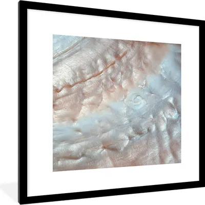 Produktbild von MuchoWow® MuchoWow® Gerahmtes Poster Muscheln - Abstrakt - Natur 40x40 cm - Poster mit zchwarzem Bilderrahmen - Poster - Plakat im Rahmen