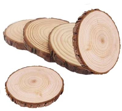 Holzscheiben 5 Stk. 10–11 cm, unbehandelt, mit Rinde, für DIY