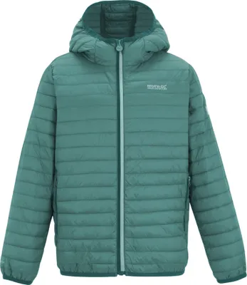 Obrázek produktu pro Regatta - dětská bunda „Hillpack“ s kapucí RG12628 (146–152) (mechová)