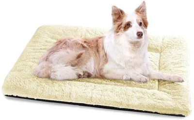 Immagine prodotto di Cuccia per cani di taglia grande, cuscino lavabile - 106x71 cm Cuccia per gatti morbidissima con fondo antiscivolo - Beige