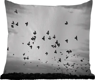 Produktbild von MuchoWow® Outdoor Kissen - Tiere - Vögel - Wolken - Schwarz - Weiß - 40x40 cm - Wetterfest - Lounge Kissen - Kopfkissen - Interieur - Polster mit Bild