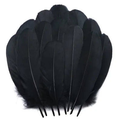 200 schwarze Federn 12–15 cm für DIY, Schmuck, Hüte, Partys