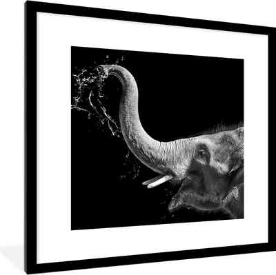 Produktbild von MuchoWow® Gerahmtes Poster Porträt - Elefant - Tiere - Schwarz und weiß 40x40 cm - Poster mit Schwarzem Bilderrahmen Wandposter Rahmen Foto Bilder - Poster - Plakat im Rahmen