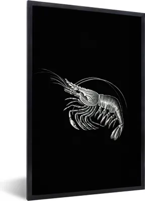 Produktbild von MuchoWow® Gerahmtes Poster Shrimps - Vintage - Ernst Haeckel - Tiere - Kunst 60x90 cm - Poster mit Schwarzem Bilderrahmen Wandposter Rahmen Foto Bilder - Kunst