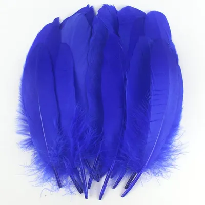 50 blaue Gänsefedern 15-20 cm für DIY & Deko