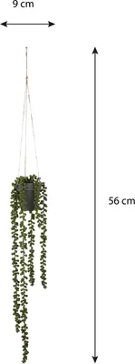 Zdjęcie produktu dla Sztuczna roślina wisząca Mica Decorations Senecio - H56 x Ø9 cm - Zielona