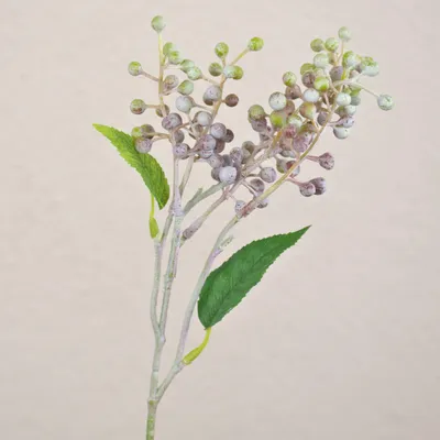 Produktbild von artplants.de Kunstzweig Holunderbeeren TEITH mit Früchten, braun-grün, 40cm - Künstlicher Beerenzweig