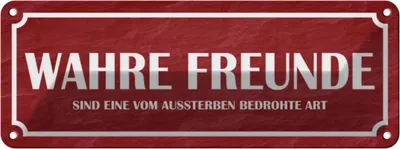 Produktbild von vianmo Blechschild 10x27 cm wahre Freunde Dekoration Spruch Zitat