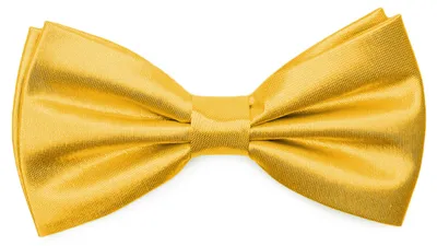 Produktbild von Ladeheid Elegante Herren Fliege -Hochwertig Glänzend Verstellbar BMS (12cmx6cm)