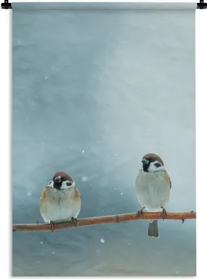 Produktbild von MuchoWow® Wandteppich Wandbehang Vögel - Spatz - Schnee - Winter 60x90 cm Tapisserie Dekoration Wandtuch - Foto-Teppich - Abwaschbar