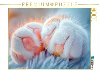Produktbild von CALVENDO Puzzle Ein Motiv aus dem Kalender Katzenpower | 1000 Teile Lege-Größe 64x48cm Foto-Puzzle für glückliche Stunden