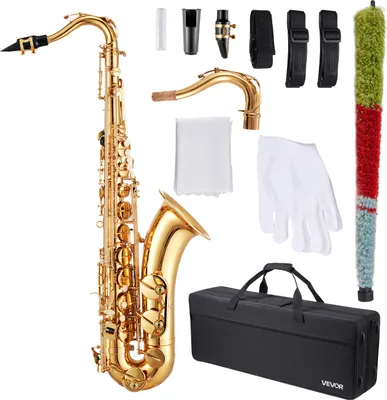 Image de VEVOR Saxophone ténor, si bémol majeur, avec housse de transport, bec, sangle, chiffon de nettoyage, gants, bandoulière, ténor à 23 touches, pour débutants et élèves, or