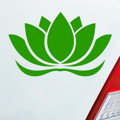 Produktbild von Auto Aufkleber Lotusblüte Lotus Blüte Blume Pflanze Seerose 16x10 cm Hellgrün Sticker Heckscheibenaufkleber