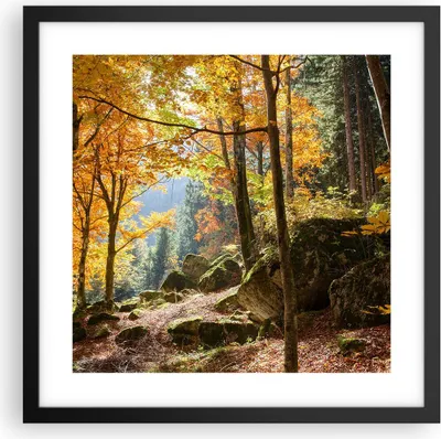 Produktbild von Gerahmtes Poster - Schwarzer Rahmen - Herbst berg wald natur - 40x40 cm - Wand Bild - Wanddeko - Wandbilder - Kunstposter - Wandposter - Bilderrahmen - Bilder - Kunstdruck - Wandbild - P2BAC40x40-2713