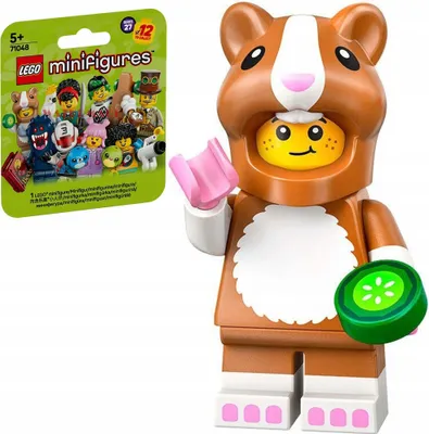 Produktbild von 71048 – LEGO Minifigures – HAMSTERLIEBHABERIN IN VERKLEIDUNG col27-1 / Serie 27