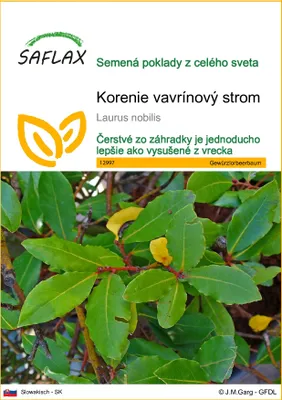 Obrázok produktu pre SAFLAX - korenie vavrínový strom - Laurus nobilis - 6 Semená