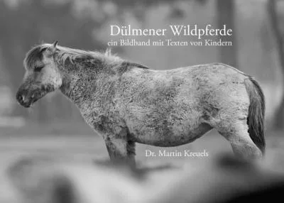 Produktbild von Dülmener Wildpferde