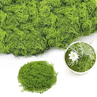 Productafbeelding van 200 gram kunstmatig mos, kleurvast en afwasbaar, kunstmatig mos voor knutselprojecten, kunstmatig mos voor decoratie, draadvormig knutselmos voor muren, aquaria, modelbouw, doe-het-zelf (lichtgroen, 200 gram)