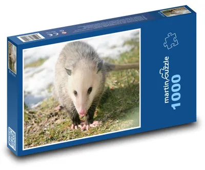 Zdjęcie produktu dla martinpuzzle - Puzzle 1000 elementów - Vačice