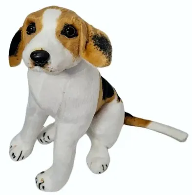 Produktbild von Beagle-Welpen - SCHWEDEN