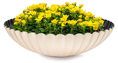 Produktbild von Dekoschale runde Pflanzschale für draussen champagner gold 35 cm