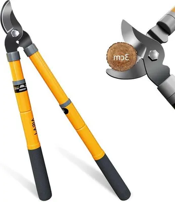 Image de Sécateur télescopique 42-61 cm, bien affûté