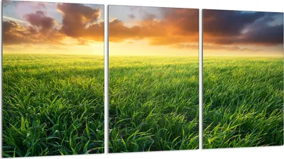 Produktbild von Herdabdeckplatten 3 teilig 30x52 Glaskeramikkochfeld Abdeckung Glas, Landschaft Dorf
