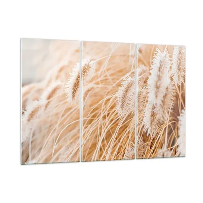 Produktbild von Bilder auf glas - 3 Teile - Gras Boho Licht - 165x110cm - Glasbilder - Wandbilder - Bilder - zum Aufhängen bereit - Wanddekoration aus Glas - Glas Bilder - Wandbild auf Glas - GCE165x110-4903