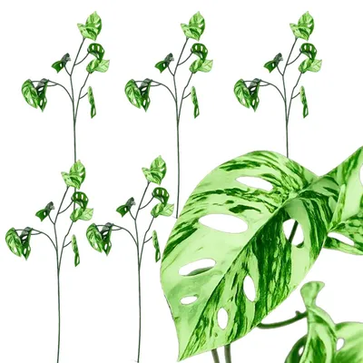 Obrázok produktu pre Umelá monstera vetvička umelá rastlina dekorácia 78 cm 5 ks zelená