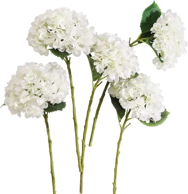 Obrázok produktu pre Umelé kvety hortenzia 50 cm, 5 ks, do vázy, biela