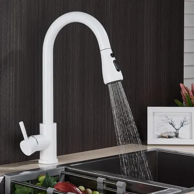 A white kitchen faucet with a pull-out spray head is shown in use, with water running into a dark sink. A framed picture and some decorative plants are visible in the background.