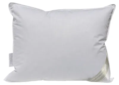 Produktbild von Betten Hofmann Kopfkissen Daunenkissen Kuschelkissen 50x60 cm 100% neue Daunen 250 g Japan