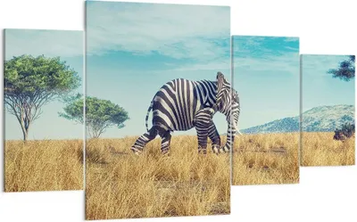 Produktbild von Bild auf Leinwand - Leinwandbild - 4 Teile - Surreal Elefant Rippen - 160x90cm - Wand Bild - Wanddeko - Wandbilder - Leinwanddruck - Bilder - Wanddekoration - Leinwand bilder - DL160x90-4717