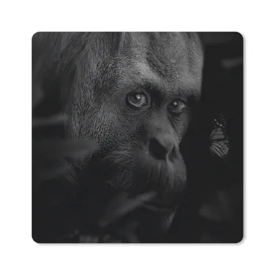 Produktbild von MuchoWow® Mauspad Mousepad Tiere - Affe - Natur - Schwarz - Weiß 30x30 cm - Mousepads - Maus Mat - Pad - Mausunterlage - Gaming