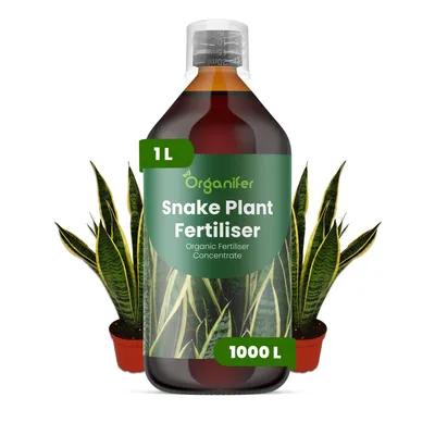 Obrázok produktu pre Tekuté hnojivo pre sanseviériu, 1 liter – vzťah živín NPK: 2-1-8 – Vhodné pre sukulenty a izbové rastliny – Podporuje silné listy a zdravé korene – Organické