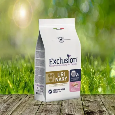 A bag of dog food is placed on a wooden surface with a blurred background of green grass and bokeh lights.