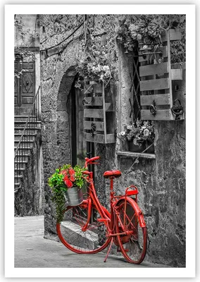 Produktbild von Poster - Poster ohne Rahmen - Rot Fahrrad Allee - 70x100 cm - Wand Bild - Wanddeko - Wandbilder - Kunstposter - Wandposter - Bilder - Kunstdruck - Wanddekoration - Wandbild - P2XPA70x100-4410