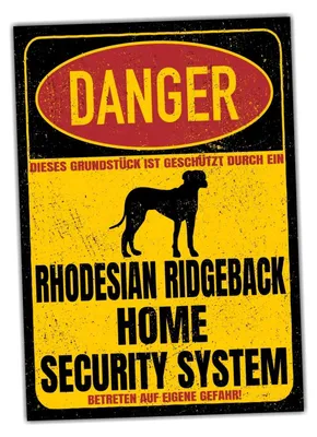 Produktbild von Warnschild: Hunde. Achtung! Sicherheitssystem