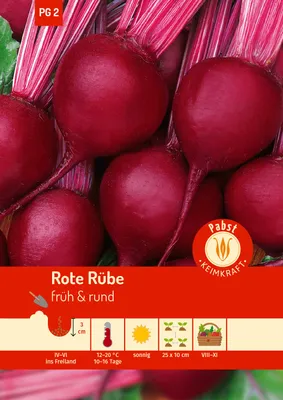 Artikelbild 1 von 'Rote Rübe Rote Kugel' aus der Kategorie Rote Beetesamen