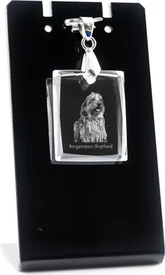 Obrázek produktu pro Bergamský ovčák - Křišťálový přívěsek se psem, náhrdelník s fotografií, jedinečné šperky od Art-Dog
