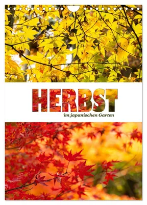 Produktbild von Herbst im japanischen Garten (Wandkalender 2027 DIN A4 hoch), CALVENDO Monatskalender