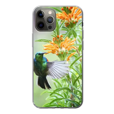 Produktbild von MuchoWow® Handyhülle Schutzhülle Hülle für iPhone 12 Pro Nahaufnahme eines bunten Vogels neben Pflanzen mit orangefarbenen Blüten Silikon Softcase Handy Hülle - Abdeckung