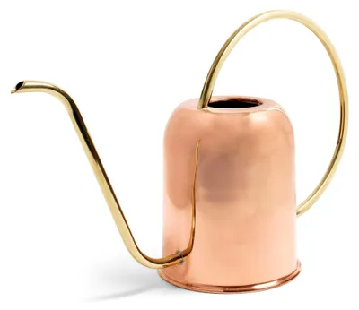 Produktbild von Kupfer-Gießkanne für Zimmerpflanzen – 1,4 l mit langem Auslauf, präzise kleine Wasserkanne für Pflanzen, Bonsai, Sukkulenten und Garten, Metall für Innen- oder Außenbereich