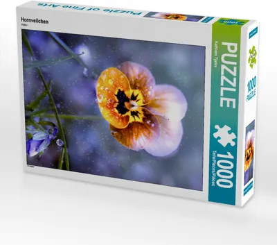 Produktbild von CALVENDO Puzzle Hornveilchen | 1000 Teile Lege-Größe 64x48cm Foto-Puzzle für glückliche Stunden