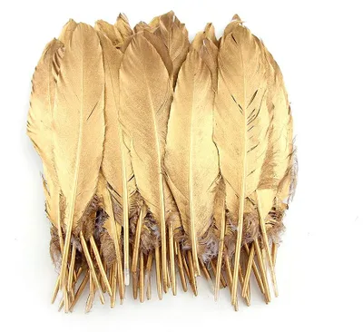50 natürliche Gänsefedern, Gold, 15-20 cm, Bastel- & Deko-Federn