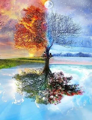 Produktbild von DIAMENTMOSAİK "BAUM", 30x40 cm, Kreatives Design