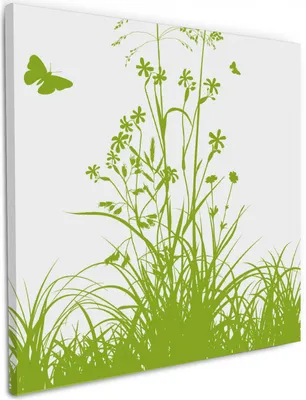 Produktbild von Wallario Premium Leinwandbild Grüne Sommerwiese in Größe 50 x 50 cm