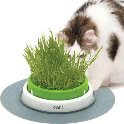 Produktbild von Grastopf cat it Senses 2.0 Grass Planter mit Abdeckgitter